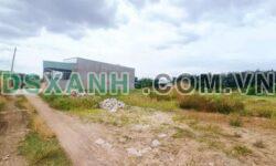 CHỈ 295 TRIỆU – LÔ ĐẤT SÁT ĐƯỜNG 44, BẦU PHƯỢNG, XÃ CHÂU PHA, TP. PHÚ MỸ