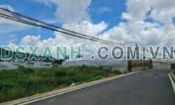 BÁN ĐẤT 643M² SỔ RIÊNG – P.12, TP. ĐÀ LẠT – ĐƯỜNG NHỰA 2 Ô TÔ TRÁNH!