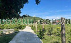 BÁN ĐẤT NINH TÂN, THÔN BẮC – GIÁ CỰC NGỘP!