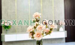 NHÀ ĐẸP XÂY MỚI 4 TẦNG – LÔ GÓC – PHỐ THIÊN LÔI, KHÚC THỪA DỤ