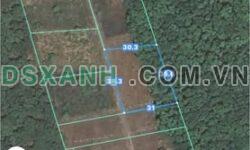 CHỦ KẸT TIỀN BÁN GẤP 1 SÀO ĐẤT TẠI NGỌC ĐỊNH – ĐỊNH QUÁN