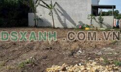 BÁN LÔ GÓC 2 MẶT TIỀN – AN VIỄN, TRẢNG BOM – VỊ TRÍ CỰC TIỀM NĂNG