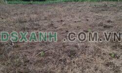 BÁN ĐẤT HƠN 1 SÀO – THÔN 4, CƯ BUAR – GIÁ TỐT