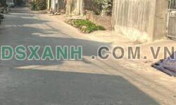 ĐẦU XUÂN RA LÔ TRỤC CHÍNH HIỆP SƠN – GIA BÌNH – BẮC NINH