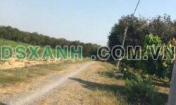 BÁN ĐẤT ĐẸP – AN VIỄN, TRẢNG BOM – VỊ TRÍ TIỀM NĂNG