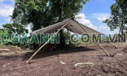 GIA ĐÌNH CẦN BÁN 4 SÀO ĐẤT TRỒNG CÂY – BÀU SEN, TP. LONG KHÁNH