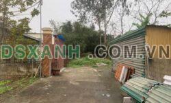 BÁN ĐẤT KHỐI 12, NGHI PHÚ, TP VINH – VỊ TRÍ ĐẸP, GIÁ HỢP LÝ