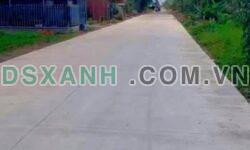 BÁN NHANH 1000M² ĐẤT LÚA – HÒA KHÁNH TÂY, ĐỨC HÒA, LONG AN