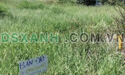BÁN ĐẤT CHÍNH CHỦ – HÀM THUẬN NAM, BÌNH THUẬN