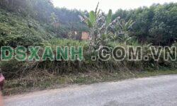 BÁN LÔ ĐẤT GIÁ RẺ – HƯƠNG XÁ, HẠ HÒA, PHÚ THỌ