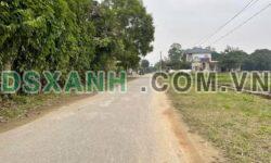 BÁN ĐẤT XÓM 1 – NGHI PHONG – NGHI LỘC, NGHỆ AN