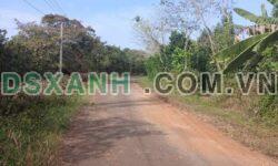 BÁN 5 SÀO ĐẤT – MẶT TIỀN NHỰA 70M – BÀU LÂM, XUYÊN MỘC, BRVT