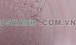 BÁN ĐẤT HÒA PHONG, THỊ XÃ MỸ HÀO