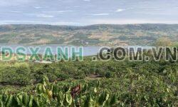VIEW CỰC CHẤT – ĐẤT TRUNG TÂM NGÃ BA BẾN ĐÒ – TÂN NGHĨA, DI LINH, LÂM ĐỒNG