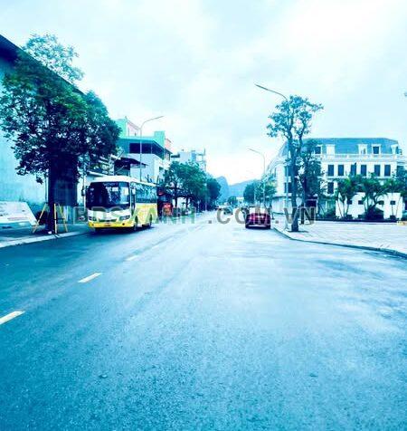 BÁN LÔ ĐẤT SAU VINCOM CẨM PHẢ – VỊ TRÍ TRUNG TÂM