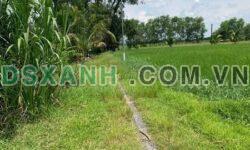 BÁN ĐẤT BẾN LONG – TÂN MỸ – ĐỨC HOÀ – LONG AN