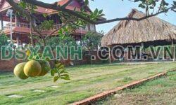 BÁN ĐẤT XÃ BẠCH ĐẰNG – TÂN UYÊN – BÌNH DƯƠNG