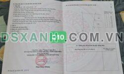 BÁN ĐẤT GIÁ RẺ – QUAN ĐÌNH, TAM QUAN, TAM ĐẢO