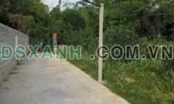 BÁN LÔ ĐẤT SIÊU RẺ – THÔN NINH AN, HÒA NHƠN, HÒA VANG, ĐÀ NẴNG