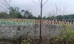 BÁN ĐẤT ĐẸP TẠI YÊN SINH, TRÀNG AN, ĐÔNG TRIỀU