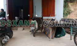 BÁN ĐẤT + NHÀ CẤP 4 TỔ 7, PHƯỜNG PHÙNG CHÍ KIÊN