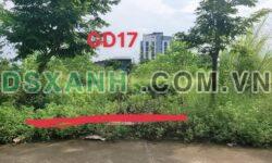 BÁN LÔ ĐẤT ĐẸP – ĐỒNG XUÂN, HỮU THỦ, KIM LONG, TAM DƯƠNG