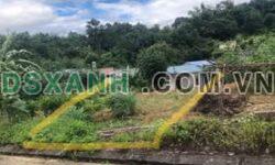 BÁN ĐẤT 200M² FULL THỔ CƯ – PHƯỜNG HUYỀN TỤNG