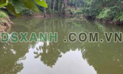 BÁN TRANG TRẠI XÃ BẢO HƯNG – HUYỆN TRẤN YÊN – YÊN BÁI