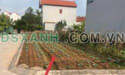 CHỦ GỬI BÁN SIÊU PHẨM LÔ GÓC AN THÁI, AN VĨ – KHOÁI CHÂU