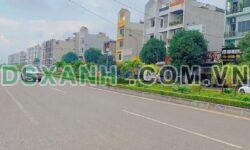 BÁN ĐẤT MẶT BẰNG QUY HOẠCH 2155 ĐÔNG VỆ – GẦN CHỢ ĐÔNG VỆ