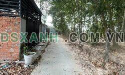 BÁN ĐẤT PHƯỜNG TÂN AN – THỦ DẦU MỘT – BÌNH DƯƠNG