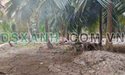 BÁN 2200M² ĐẤT XÃ TÂN HỘI – MỎ CÀY NAM – BẾN TRE