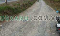 4300m2 đất mặt tiền quốc lộ N2 xã Hòa Khánh Đông, Đức Hòa, Long An giá 17,5 tỷ