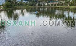 BÁN ĐẤT 4HA XÃ THANH HƯNG, ĐIỆN BIÊN – VỊ TRÍ ĐẸP, ĐƯỜNG NHỰA Ô TÔ TẬN VƯỜN LH:0868862862