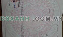 BÁN ĐẤT – THÔN TUẤN DỊ, TRƯNG TRẮC, VĂN LÂM, HƯNG YÊN