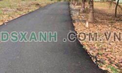 Bán đất mặt tiền đường nhựa – Long Tân, Đất Đỏ