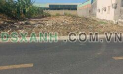 BÁN ĐẤT MẶT TIỀN THANH XUÂN – ĐƯỜNG VEN BIỂN PHƯỚC HƯNG – LONG HẢI