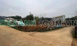 BÁN ĐẤT KHU 8 HY CƯƠNG – NGAY CỔNG ĐỀN HÙNG