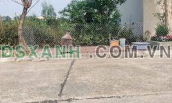 CƠ HỘI CHO NHÀ ĐẦU TƯ – ĐÓN SÓNG NHÀ GA HỮU THỦ – KIM LONG