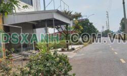 CẦN TIỀN BÁN GẤP – ĐẤT MẶT ĐƯỜNG QL38 – VIEW KCN TÂN CHI, TIÊN DU