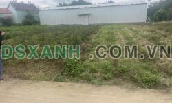 BÁN ĐẤT PHONG LỤC TÂY – ĐIỆN THẮNG NAM – GIÁ RẺ NHẤT THỊ TRƯỜNG