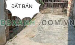 BÁN ĐẤT ĐẸP – DƯƠNG ĐỨC HIỀN, GIA LÂM – GIÁ CHỈ 2.8 TỶ
