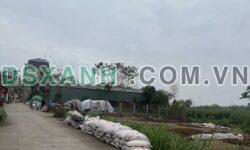 CHÍNH CHỦ BÁN ĐẤT DÃY A – XÓM LIỄU – VĨNH THỊNH