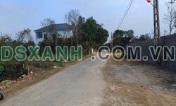 CHỦ NHỜ BÁN LÔ ĐẤT LỐI 2 ĐƯỜNG 535 – KHU XUÂN TRANG, P. NGHI ĐỨC