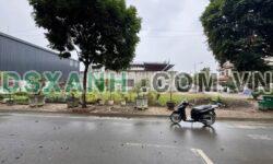 CƠ HỘI ĐẦU TƯ ĐẤT HUD ĐỒNG BẨM – LÔ ĐẸP SÁT GÓC
