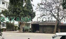 BÁN ĐẤT MẶT ĐƯỜNG LẠC LONG QUÂN – P. THỌ SƠN (CỔNG KĐT BẾN GÓT)