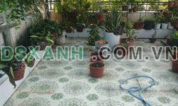 NHÀ ĐẸP BÌNH CHUẨN – THUẬN AN, BÌNH DƯƠNG – GIÁ SIÊU TỐT