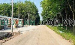 BÁN ĐẤT BÊ TÔNG TÂN HIỆP – PHÚ GIÁO, BÌNH DƯƠNG