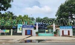 BÁN ĐẤT THÁI HÒA, TÂN UYÊN, BÌNH DƯƠNG