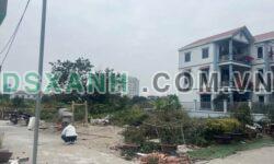 CHÍNH CHỦ BÁN LÔ BỒ SƠN NÚI – VÕ CƯỜNG – TP. BẮC NINH